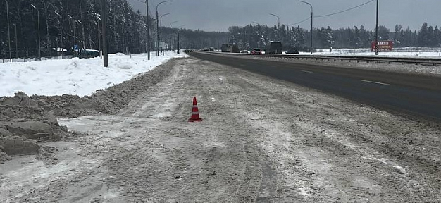 Возле Ломов грузовик сбил мужчину и скрылся